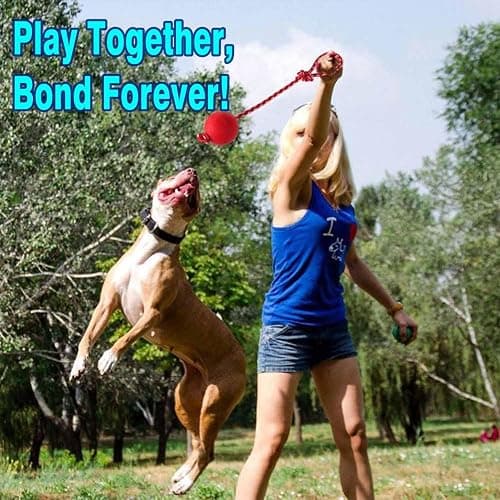 Novique 3 Pack Heavy Duty Dog Rope Toys for Breed Aggressive Chewers, Treat Balls and Dog Squeaky Toy for Puppies & Small Dogs thumbnail 7