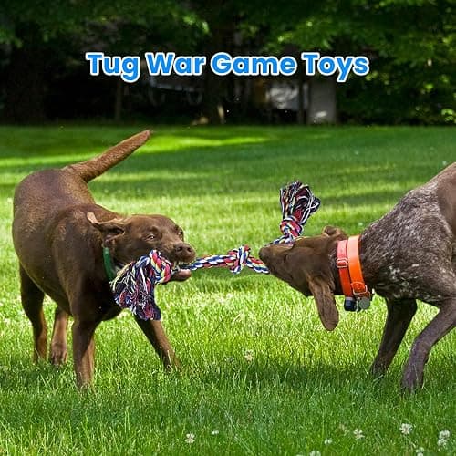 Feeko Heavy Duty Dog Rope Toys for Large Breed Aggressive Chewers, 2 Pack Indestructible Teeth Cleaning Tug of War Toy thumbnail 2