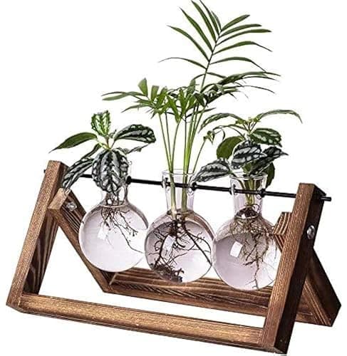 Kingbuy Plant Terrarium Propagation Station - 3 Glass Bulb Vases with Retro Wooden Stand Boho Desktop Planter for Hydroponics Home Garden Indoor Home Office Decor Unique Gifts for Women & Plant Lovers - Image 1