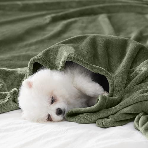 BEAUTEX Fleece Throw Size Blanket for Couch Sofa or Bed, Soft Fuzzy Plush Luxury Flannel Lap Blanket, Super Cozy and Comfy for All Seasons (Olive Green, 50" x 60") thumbnail 3