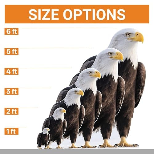 EnjoyView Eagle 3FT Life Size Cardboard Cutout, Fun Animal Standup, Perfect for Events, Party Decor, Birthday and Photos, 1 PC thumbnail 3