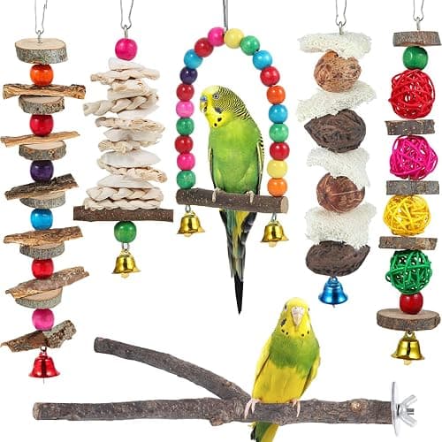 Bird Perch & Toys - 6 Pack Accessories, Wooden Chew Toys & Perch Stand for Parakeet, Conure, Cockatiel, Lovebird, Parrotlet, Budgie, Finches & Other Small to Medium Sized Birds - Image 1