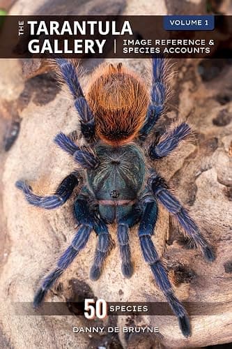 The Tarantula Gallery: Image Reference & Species Accounts - Image 1