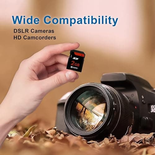 Casio Exilim EX-Z750 Digital Camera Memory Card 2GB Standard Secure Digital (SD) Memory Card thumbnail 4