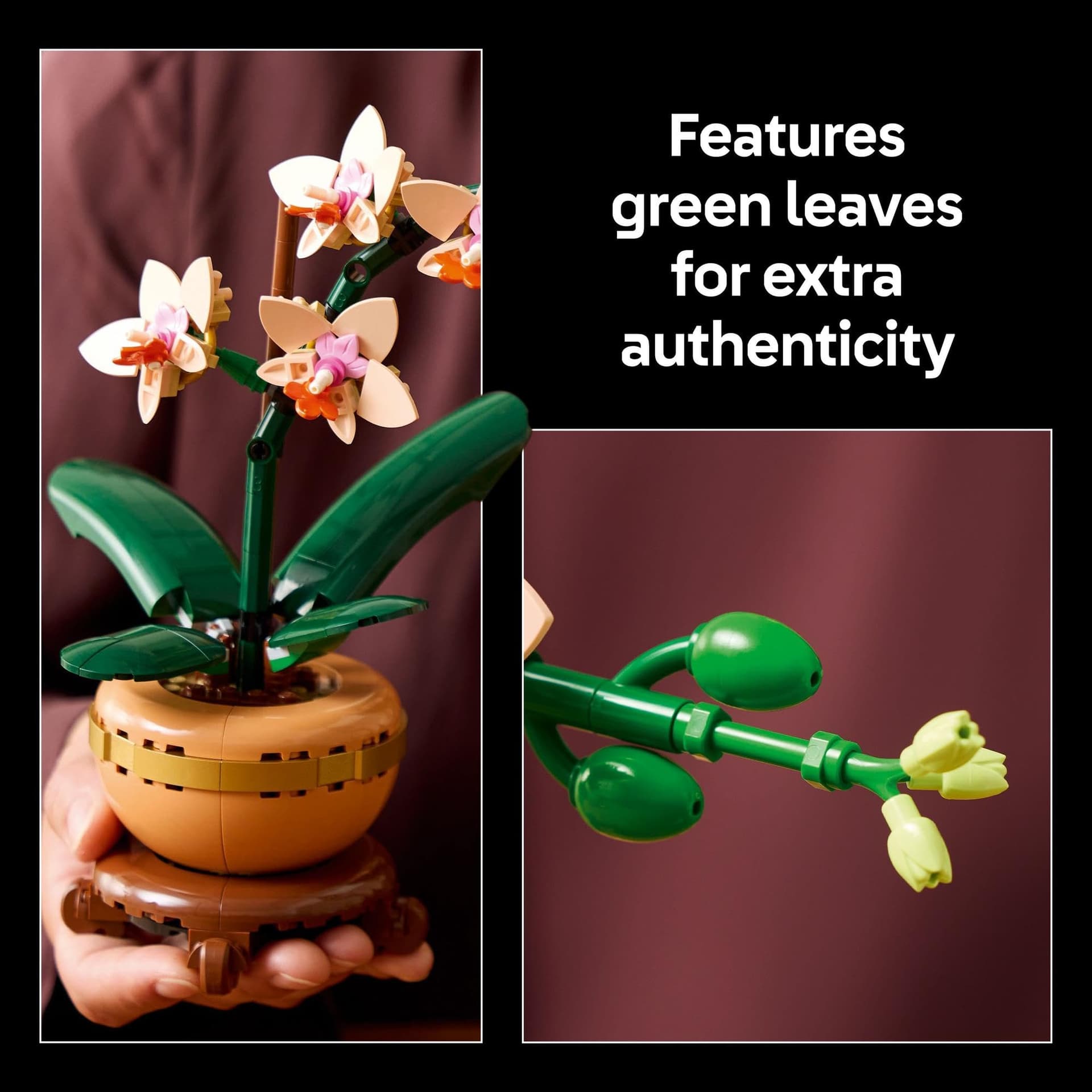 LEGO Botanicals Mini Orchid Artificial Plant Craft Kit for Adults, Model Building Set with Faux Flowers in a Terracotta Style Flowerpot, Office or Home Decor Treat for Women and Men 10343 thumbnail 4