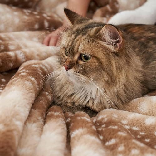 Cozy Bliss Luxury Faux Fur Throw Blanket Animal Striped Print, Non Shedding Double Sided Sherpa Blankets Super Soft Fluffy Thick Warm Throws Home Decor for Couch Bed Sofa Women (Brown, 50x60 Inches) thumbnail 9