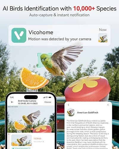 Nafnti 2K Smart Bird Feeder with Camera, Solar Powered, AI Identify 10,000+ Birds, 1.8L Capacity, IP65 Waterproof, Squirrel Proof, Live View Alerts, Various DIY Addons, Gift for Bird Watching thumbnail 2