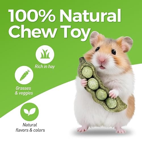 TEEWY Guinea Pig Toys, Prevent Teeth Overgrowth, Natural Vegetables and Timothy Grass, Hamster Chew Toys, Guinea Pig Chew Toys, Chinchilla Toys, 3PCS, Peapod-Shaped thumbnail 2