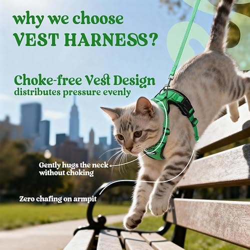 rabbitgoo Cat Harness and Leash for Walking, Escape Proof Soft Adjustable Vest Harnesses for Cats, Easy Control Breathable Reflective Strips Jacket, Grass Green,S thumbnail 3