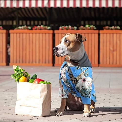 Weewooday 4 Pieces Small Pet Summer T-Shirts Hawaii Style Floral Pet Dog Shirt Breathable Cool Clothes Beach Seaside Puppy Sweatshirt for Puppy(Cute Style,Small) thumbnail 4