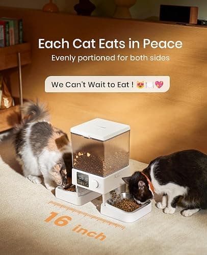 oneisall Automatic Cat Feeder for 2 Cats, 20 Cups/5L Automatic Cat Food Dispenser for Small Pets Indoor, Timed Cat Feeder for Dry Food(White) thumbnail 2