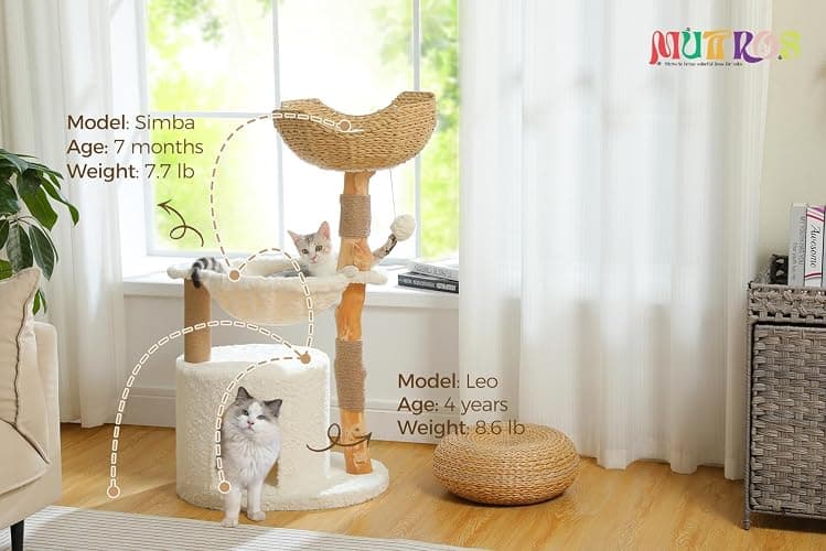 MUTTROS Modern Cat Tree for Large Cats, Wood Cat Tower for Indoor Cats, Real Branch Luxury Cat Furniture with Super Large Cozy Condo and Hammock & Scratching Post, Top Basket, White thumbnail 8