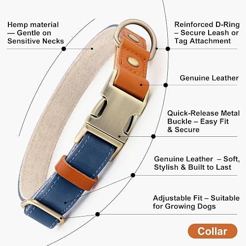 Plutus Pet Genuine Leather & Hemp Dog Collar – Adjustable Heavy Duty Pet Collar with Quick Release Metal Buckle, Soft & Stylish for Puppy and Small, Medium, Large Dogs (Royal Blue, M) thumbnail 7