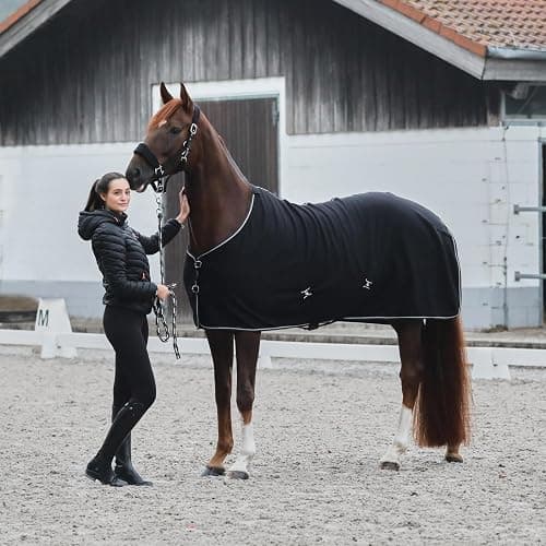  5.   HORZE Kiel Adjustable Horse Halter with Fleece Padding - Black - Horse thumbnail 3