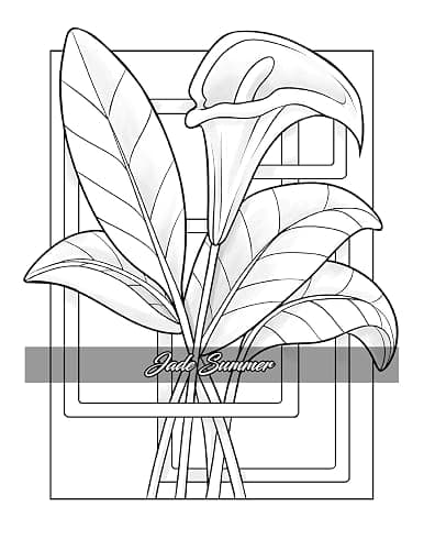 Minimalist Art: Adult Coloring Book for Women and Teens with Easy Boho Designs for Stress Relief and Relaxation (Easy Coloring Books) thumbnail 5