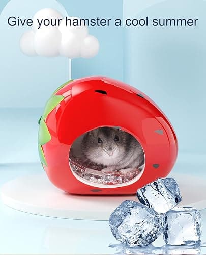 Besimple Hamster Hideout, Small Animal Hideout Ceramic Pet House, Adorable Shape Hamster House Cave Mini Hut Cage Critter Bath House for Chinchilla(Strawberry) thumbnail 3