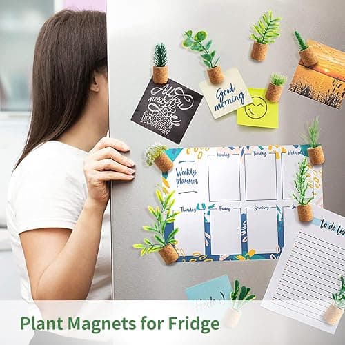 Joyibay Plant Fridge Magnets Mini Succulent Magnets Artificial Plants Refrigerator Magnets Potted Succulent Plants Magnet Stickers Cute for Magnet Boards Fridge Home Office Decor thumbnail 7