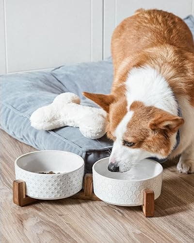Dog Bowls Ceramic for Small Medium Dogs - 3-Cup Dual Food & Water Bowl Set with Acacia Wood Stand, Non-Slip Anti-Tip Elevated Design thumbnail 4