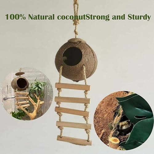 10PCS Crested Gecko Tank Accessories, Reptile Plants Bridge Vines, Coconut Shell with Ladder for Lizard, Chameleon Cage, Snakes, Hermit Crab, Leopard Gecko Tank Accessories, Terrarium Decor thumbnail 3