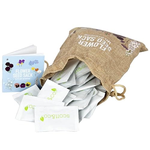 Scott&Co. Flower Seed Variety Pack - 30 Different Varieties of Flower Seeds to Grow Your Own. Butterfly and Bee Attracting, Grow Indoor and Outdoor. Christmas Gifts for Women and Men. thumbnail 4