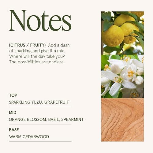 LA JOLIE MUSE Yuzu & Neroli Blossom Scented Candles, Citrus Candles for Home Scented, Natural Soy Wax Candle, Candles Gifts for Women, 6 oz 40 Hours Burn thumbnail 4