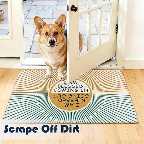 Chicimln Boho Sun Funny Door Mat, I Am Blessed Coming in and Going Out Non-Slip Linen Doormat Outdoor Indoor Entrance, Funny Welcome Small Rugs for Entryway Front Door Porch, 17x30 Inch thumbnail 6