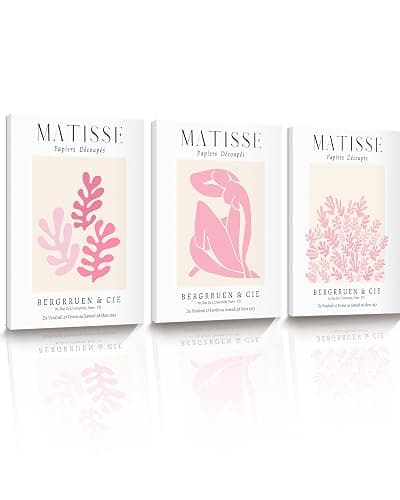 HesenDot Matisse Pink Framed Wall Art,30x40CM Abstract Canvas Wall Decor Set of 3,Boho Minimalist Art Posters Prints,Aesthetic Home Decoration for Living Room Bedroom Bathroom Kitchen - Image 1