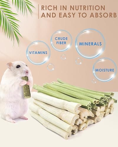 Bissap 40PCS Rabbit Chew Sticks, 20PCS Sweet Bamboo Chew Sticks & 20PCS Papaya Stems Bunny Chews for Rabbit Hamster Chinchilla Guinea Pig Small Animals Natural Molar Treats thumbnail 2