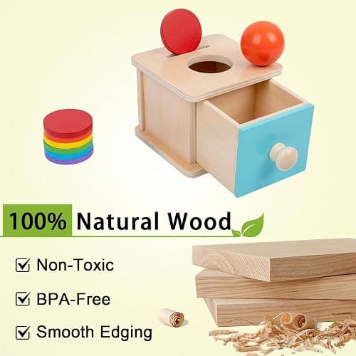 Adena Montessori Infant Toddlers Coin Box Montessori Toys for 6-12 Months Babies 1 Year 2 Year Old (2 in 1,Coin&Ball, Blue Door) thumbnail 5