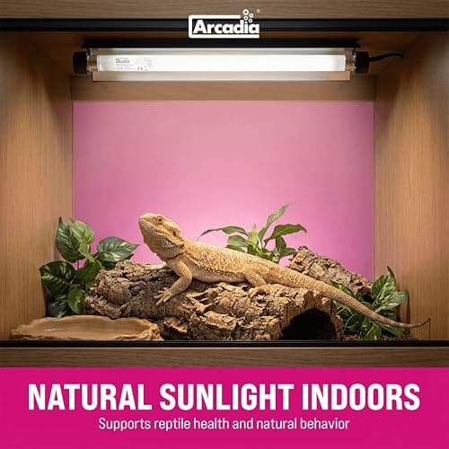 Arcadia T5 UVB Reptile Light Fixture Kit 12" Long 8 Watts 7% UVB ShadeDweller – Complete UVB Light for Reptiles, Turtles, Snake, Bearded Dragon Lamp, Long Lasting Easy to Use Professional Lighting thumbnail 2