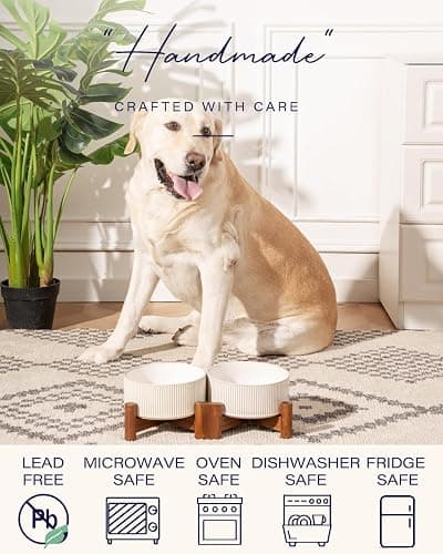 Getstar Ceramic Dog Bowls Set with Acacia Wood Stand, 3.5 Cups Pet Bowls Set of 2 for Medium Dogs, Cute Dog Food Bowl, Cat Bowls thumbnail 5