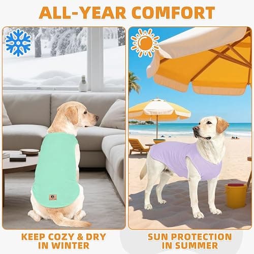 KOOLTAIL Dog Clothes for Large Dogs Girl Boy, 2 Pack Cotton Comfortable Dog T Shirts Coats for Outdoor, UV & Insect Protection Anti-Hair Loss & Lightweight Pet Vest Tank Tops Apparel,Green&Purple,2XL thumbnail 7