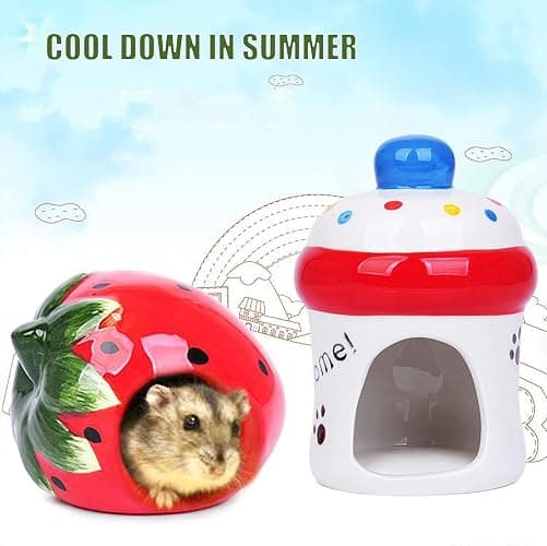 Besimple Hamster Hideout, Small Animal Hideout Ceramic Pet House, Adorable Shape Hamster House Cave Mini Hut Cage Critter Bath House for Chinchilla(Strawberry) thumbnail 6