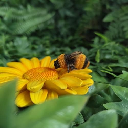 Vivid Arts - Marguerite jaune à suspendre avec abeille – Décoration de jardin à l'intérieur ou à l'extérieur thumbnail 4