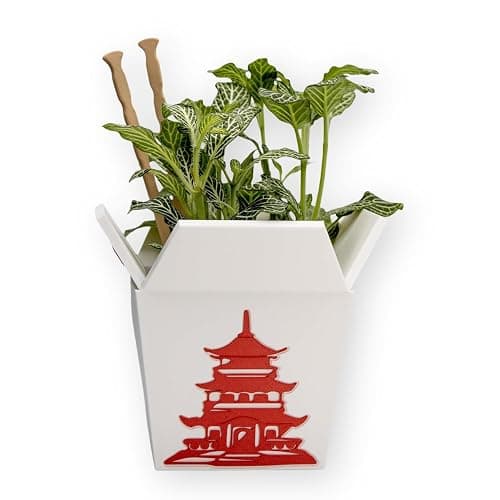 Plant Pot for Indoor Plants, Chinese Take Out Box White Whit Two Chopsticks (Free) 3D Printed -Plastic -Unique Planter for Indoor with Drainage Hole- Made in USA (White) - Image 1