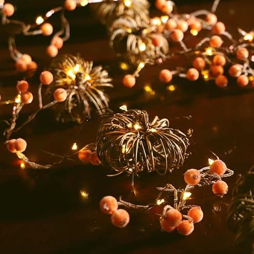 MIYA LIFE Nature Rattan Pumpkin Lights - 10FT 30 LED Cozy Fall Garland with Lights Battery Operated Charming Thanksgiving Decorations with Remote - Ideal Thanksgiving Garland Fall Decorations for Home thumbnail 6
