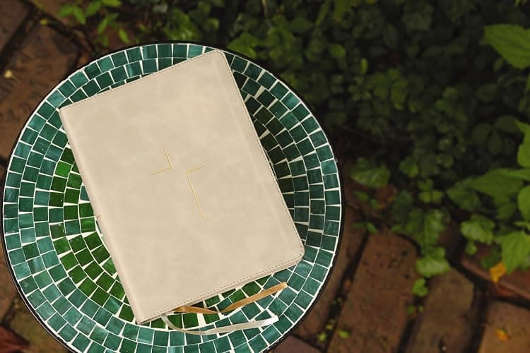 The Jesus Bible, NIV Edition, Leathersoft, Stone, Comfort Print thumbnail 2
