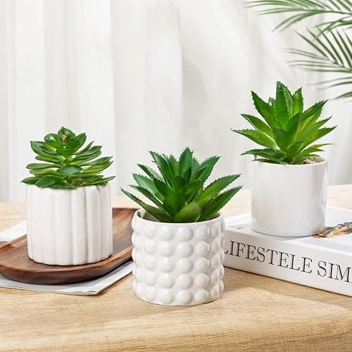 Briful Succulents Plants Artificial in White Ceramic Pots (Set of 3), Small Fake Plants for Home Office Desk Decor – Modern Mini Potted Succulents for Bathroom, Bedroom, Living Room Table, Shelf thumbnail 2