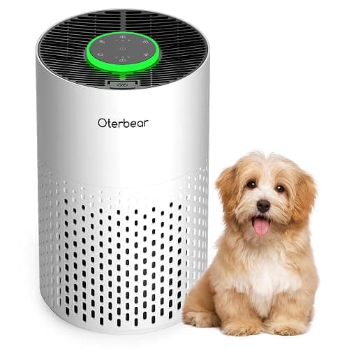 Air Purifiers for Home Bedroom Up to 1250 Ft² - H14 HEPA Air Purifier with Aroma & Sleep Mode - 24dB Small Room Air Purifier for Allergies, Smoke, Dust, Pollen, Pet Dander,4000B,White - Image 1