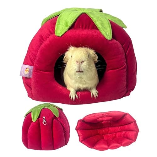 CAVYPOP Guinea Pig Hideout Bed, Tomato-Shaped Bottomless Plush House | Cute tomato design. Bottomless easy-clean structure. Thick plush comfort. Cozy hideout for guinea pigs - Image 1