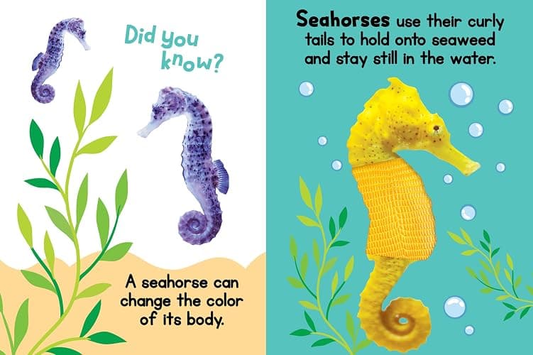 Ocean Friends - Touch and Feel Board Book - Sensory Board Book thumbnail 6