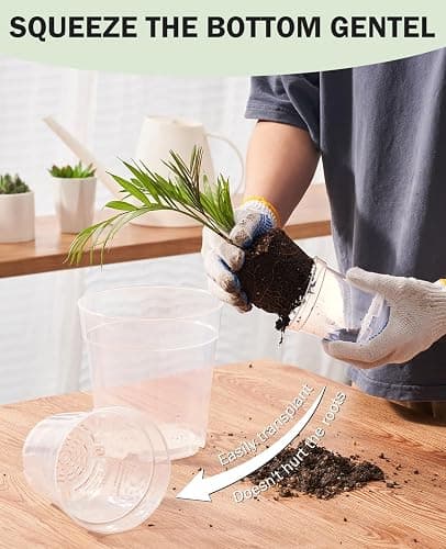 homenote Clear Nursery Pots for Plant,3/4/5 Inch Plant Pot for Planting Plastic Seedling with Drainage Holes Seed Starter Flower High Transparency 20 Labels Excellent Hardness(30 Pack) thumbnail 4