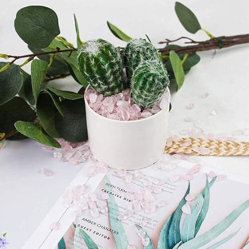JOHOUSE Rose Quartz Crystals, 1lb Pink Crushed Rose Quartz Chips Bulk Tumbled Stones Irregular Shaped Succulent Pebbles Decorative Rocks for Aquarium Fish Tank Vase Filler DIY Crafts Indoor Plants thumbnail 2