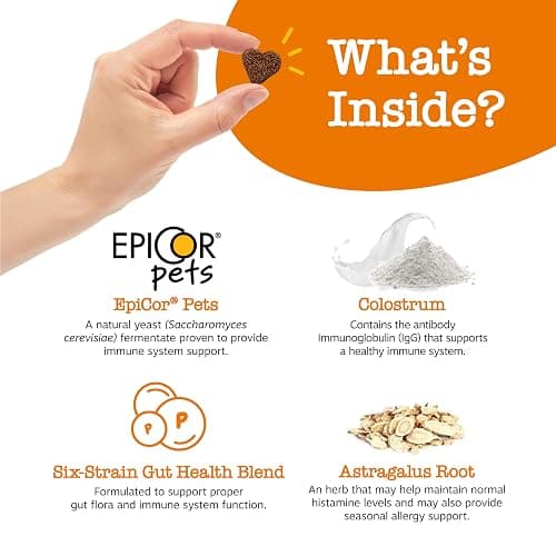 Zesty Paws Dog Allergy Relief- Dog Itching Skin Relief- Dog Probiotics for Itchy Skin and Itchy Ears- Dog Allergy Paw Relief- Dog Allergy Chews- Dog Itch Relief - Dog Skin Allergy Relief - Lamb - 90ct thumbnail 3
