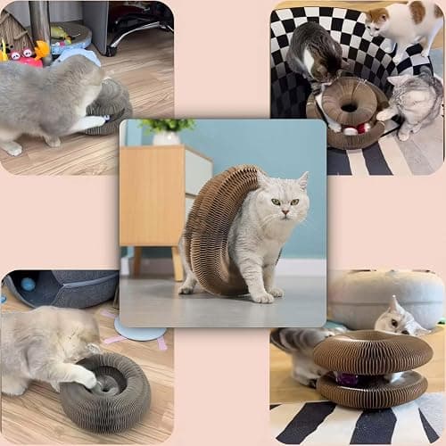 Cat Toy, Magic Organ Cat Scratch Board, Compact Cats Accordion Toy, Interactive Cardboard Cat Scratcher Pad Toys with Bell Ball for Indoor Exercise thumbnail 6