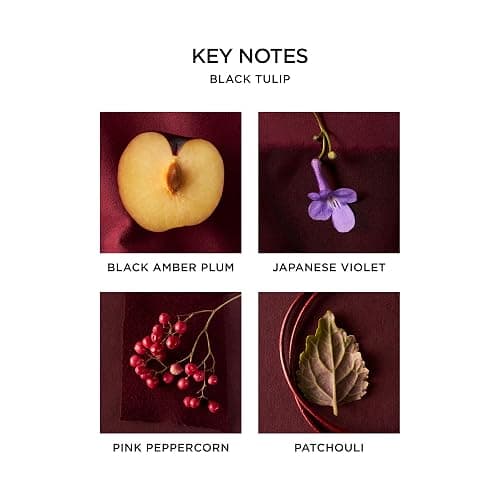 NEST New York Black Tulip Eau de Parfum (Full Size) - 50 mL - Vegan & Cruelty Free thumbnail 5