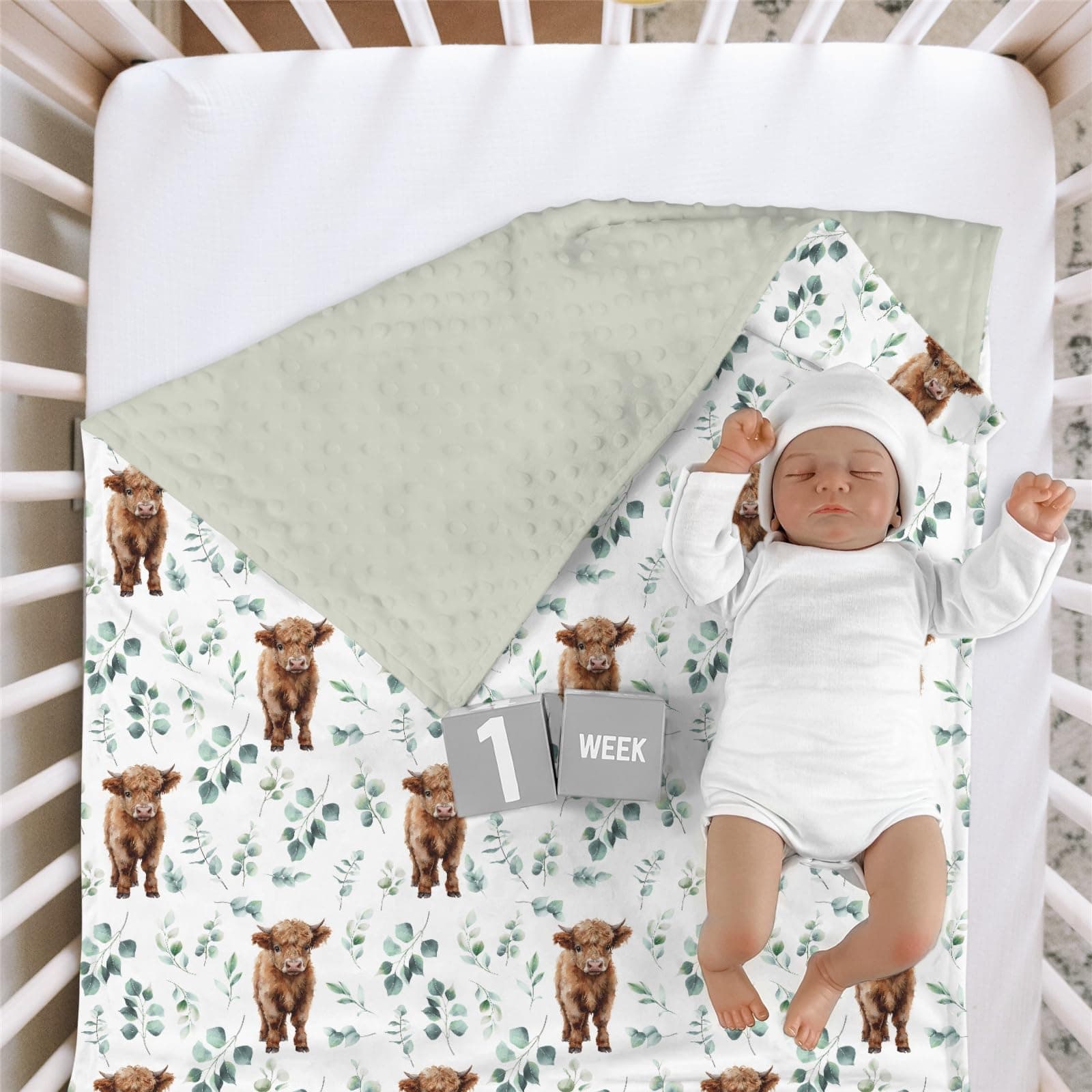 HawSkgFub Highland Cow Eucalyptus Leaf Mink Baby Blankets with Dotted Backing Boy Girl Shower Gift, Western Cowboy Double Layer Nursery Swaddle, Soft Newborn Infant Toddler Bed Crib Bedding 30 x 40 thumbnail 2