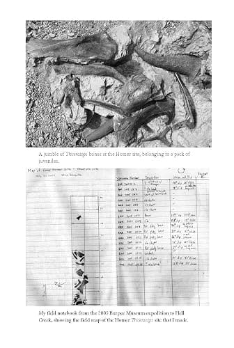 The Rise and Fall of the Dinosaurs: A New History of Their Lost World thumbnail 5