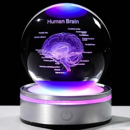3D Human Brain 3.15 in. Crystal Ball Gifts for Him Her, Human Brain Anatomical Mini Model with Colorful Light Base for Neurologist Doctor Pharmacist, Physiology Graduation Gifts for Medical Students - Image 1