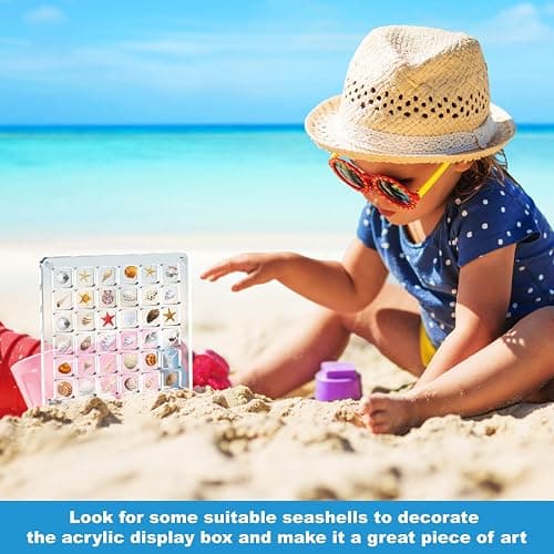 XANGNIER Acrylic Magnetic Seashell Display Box,Clear Sea Shell Display Box,Beach Magnet Storage Organizer Case for Seashell Diamond Beads,36 Grids,Transparent,1 Pack thumbnail 2